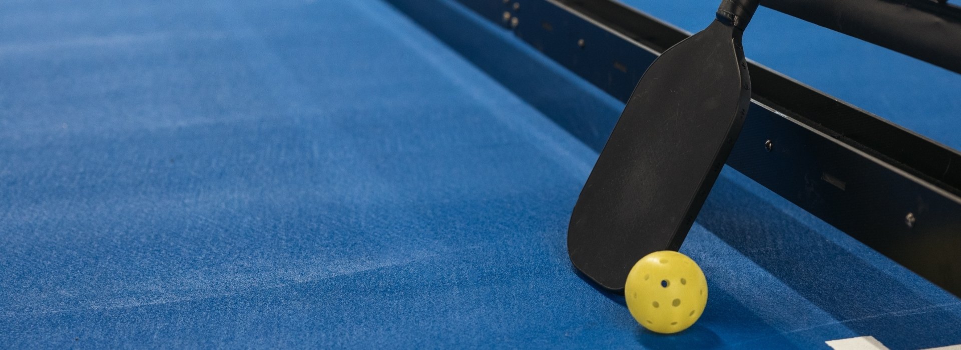 Carbon Fiber Pickleball
