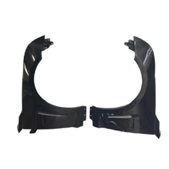 ATSL Carbon fiber Fenders