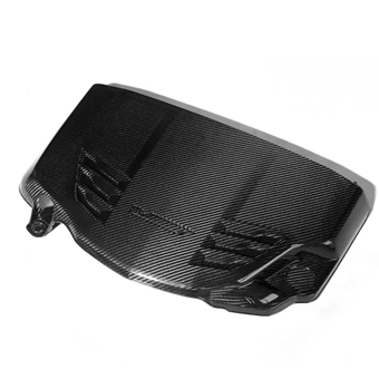 ATSV Dry Carbon Engine Cover