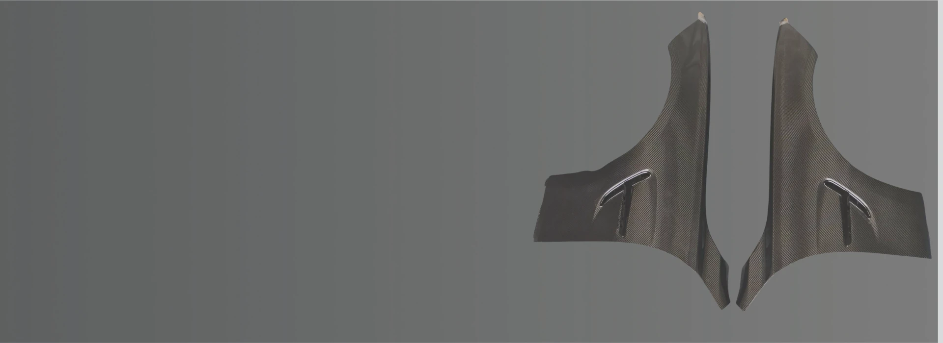 Carbon fiber Fenders