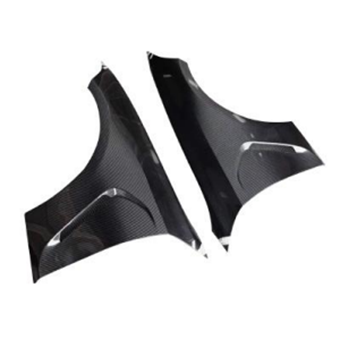 G20 Carbon fiber Fenders
