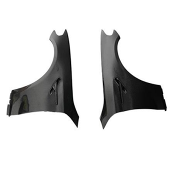G38 Carbon fiber Fenders