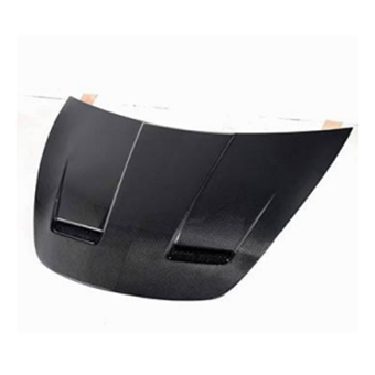 Tesla Moldy Carbon fiber hood